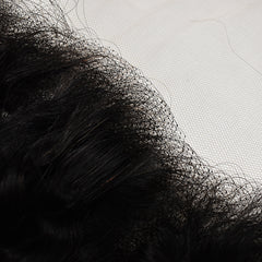 13x4 Transparent Lace Frontal Curly Hair High Quality Virgin Hair