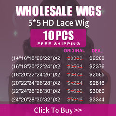 Wholesale Wigs 10PCS Pack 5x5 HD Lace Wig High Quality Virgin Hair