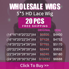 Wholesale Wigs 20PCS Pack 5x5 HD Lace Wig High Quality Virgin Hair