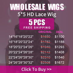 Wholesale Wigs 5PCS Pack 5x5 HD Lace Wig High Quality Virgin Hair
