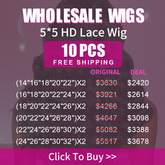 Wholesale Wigs 10PCS Pack 5x5 HD Lace Wig High Quality Virgin Hair