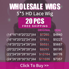 Wholesale Wigs 20PCS Pack 5x5 HD Lace Wig High Quality Virgin Hair
