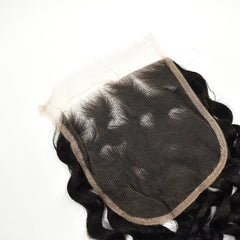 Raw Hair Water Wave Hair 3 Bundles With 5x5 HD Lace Closure High Quality Hair