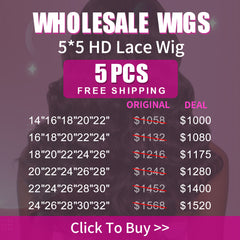Wholesale Wigs 5PCS Pack 5x5 HD Lace Wig High Quality Virgin Hair